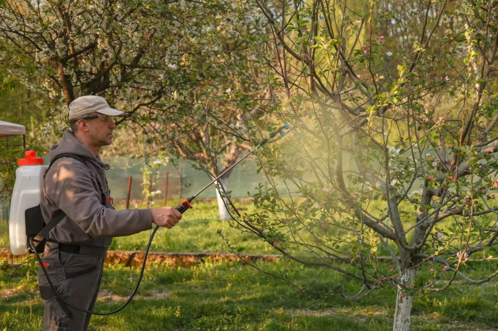 How Tree Services Contribute to a Healthier Landscape