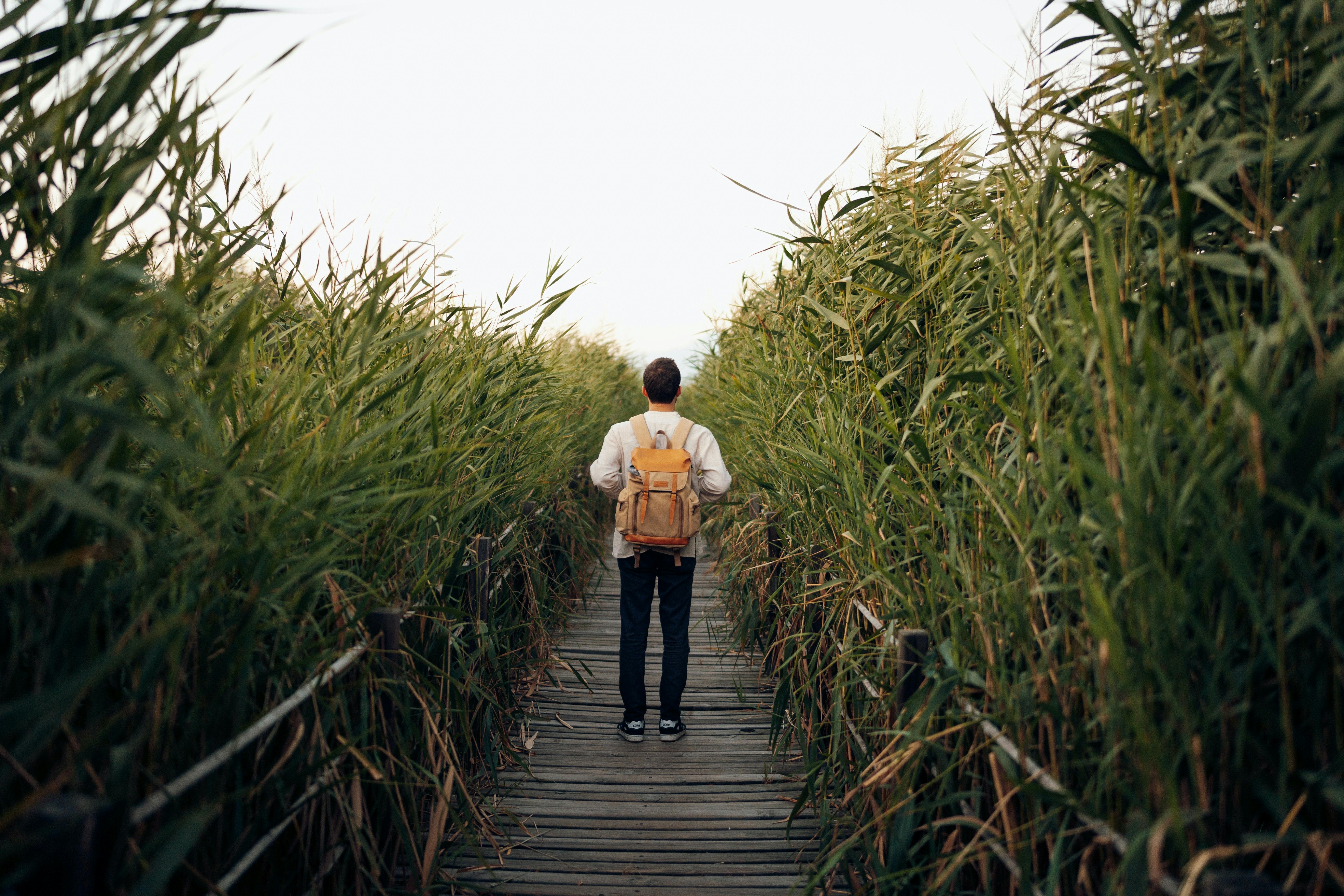 Wandering Thoughts Sometimes Lead To The Most Honest Discoveries